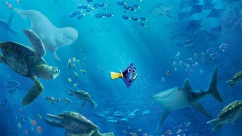 Regarder Le Monde de Dory (2016) dessin animé streaming HD gratuit ...