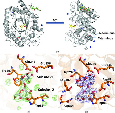 (IUCr) Structure of Aspergillus aculeatus β -1,4-galactanase in complex ...