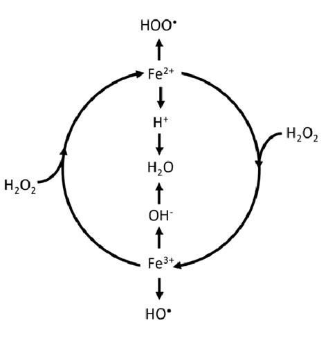 The Conversion Cycle of Ferrous Ion to Ferric Ion in Fenton Reaction ...