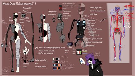 Worker Drone Skeleton Anatomy :3 by ShadowAgentMask on DeviantArt