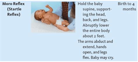 Newborn Reflexes Exams - Naxlex Nursing