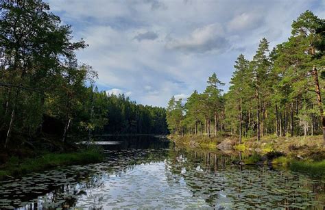 Best national parks in Sweden | AllTrails