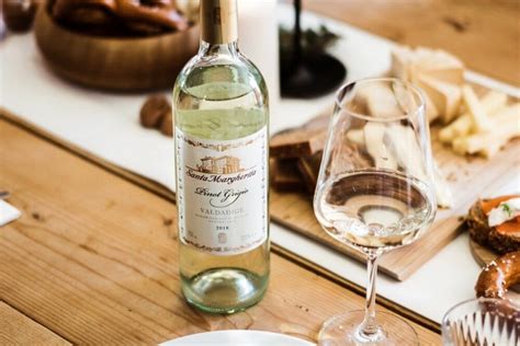 10 Best Italian Pinot Grigio Brands - Pinot Grigio Wines in Italy