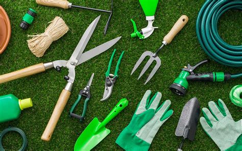 Lawn Maintenance: Tips, Tools, & Importance | Zameen Blog