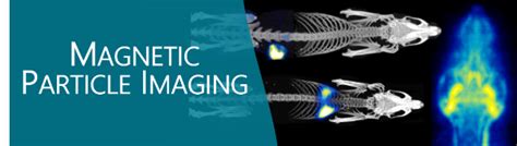 In Vivo Magnetic Particle Imaging Seminar at UCSF