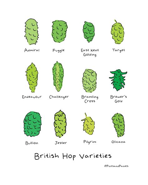 British Hop Varieties — Pints and Panels