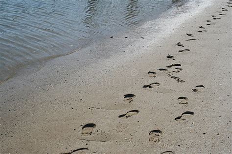 Footprints of Jesus stock photo. Image of eternity, religion - 1004618