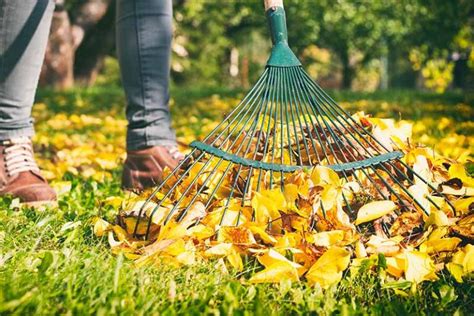 7 of the Best Leaf Rakes Reviewed | A Gardener’s Path Buying Guide