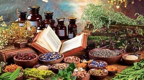 In a first, India to get WHO traditional medicine centre in Gujarat | Today News