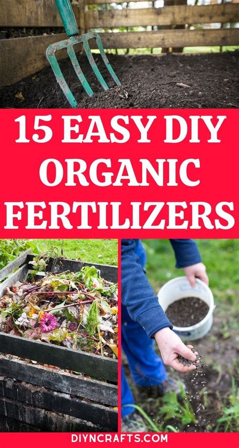 15 DIY Organic Fertilizer Recipes for Your Garden | Organic fertilizer ...