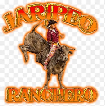 Jaripeo png | PNGEgg