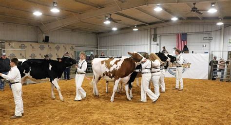 PHOTOS: 2021 Erath County Jr. Livestock Show – Dairy Cattle – The Flash Today || Erath County