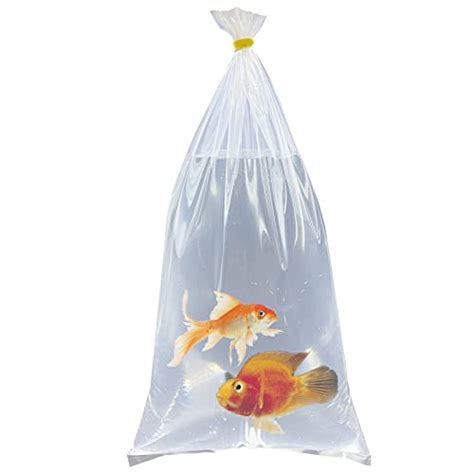 Best Bags For Transporting Fish