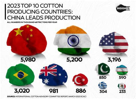 2023 Top 10 Cotton Producing Countries: China Leads Production | Insights Artist