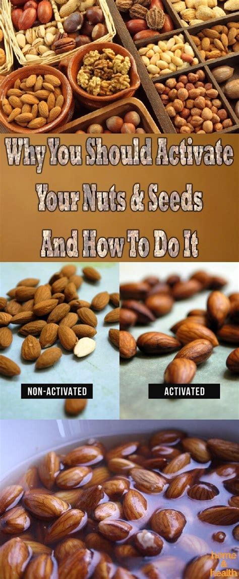 Nuts & seeds contain a lot of fiber, many healthy fats and have great nutritive value, that is ...