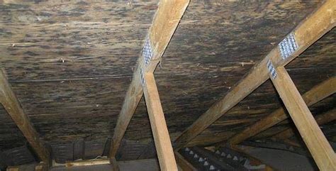 Attic Mold Removal and Remediation | Black Mold Removal in Attics