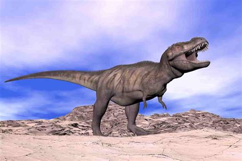 How Tall Are T-Rex: Towering Tyrannosaurus Rex's Amazing Size Revealed ...