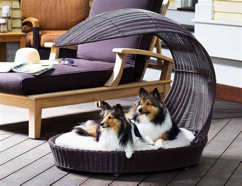 Outdoor Dog Chaise Lounger from The Refined Canine » Gadget Flow