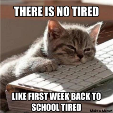 Incredibly Relatable Memes About Starting School | Jewish Week