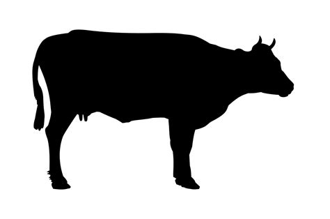 Images For > Cow Vector Png | Silhouette clip art, Cow vector, Cow art