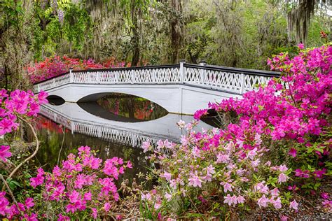 Top 8 Day Date Ideas Charleston, SC - Speed Boat Adventures