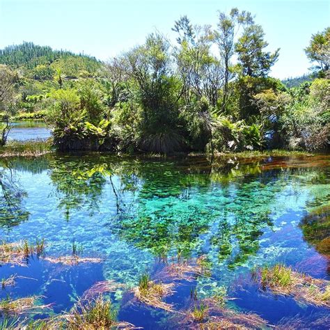 Te Waikoropupu Springs, Takaka, New Zealand — by HeatherLois | Visit ...