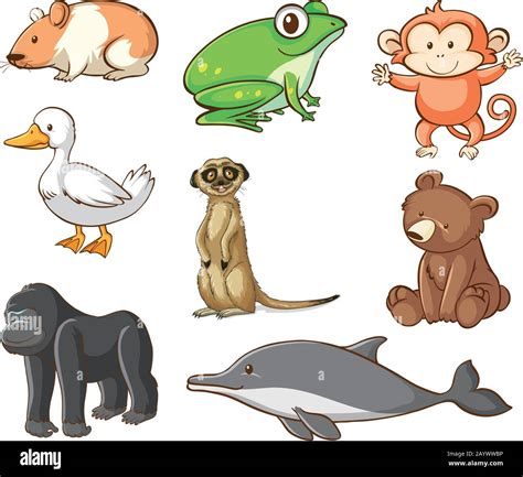 Large set of wildlife with many types of land and water animals illustration Stock Vector Image ...