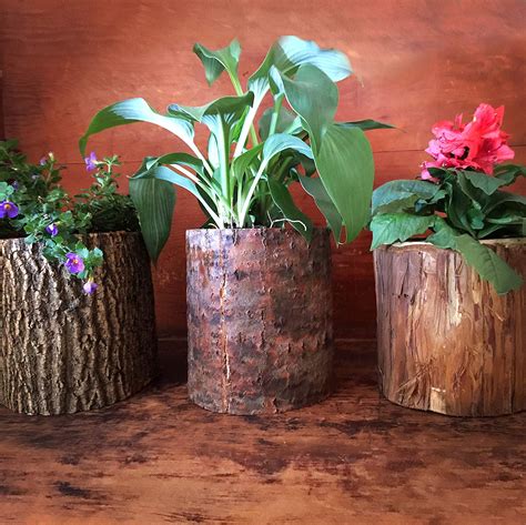 Amazon.com: Mystery Hollow Log Flower Planters. Set of 3 Real Hollowed ...