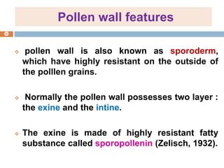 Male gametophyte morphology | PPT