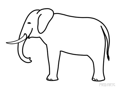 Elephant Standing in the Side View - Drawing Tutorial - PRB ARTS