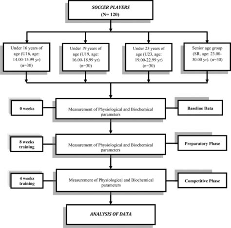 Schematic diagram showing the experimental design | Open-i