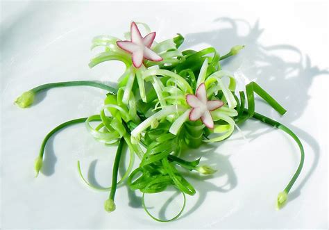 Greens & Radish Garnish | Food garnishes, Garnish, Green onions