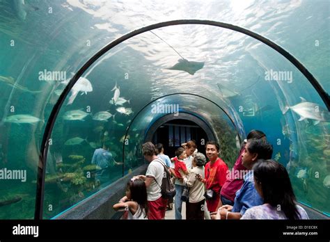 Phuket Aquarium, Phuket, Thailand Stock Photo - Alamy