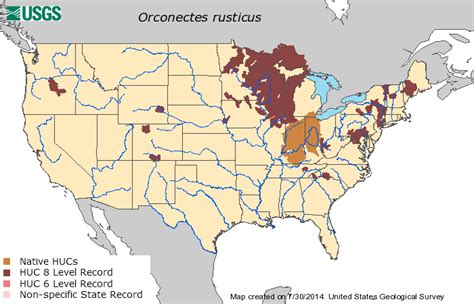 Rusty Crayfish - Lake Scientist