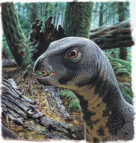 Qantassaurus - Peter Trusler | Prehistoric painting, Dinosaur fossils, Paleontology