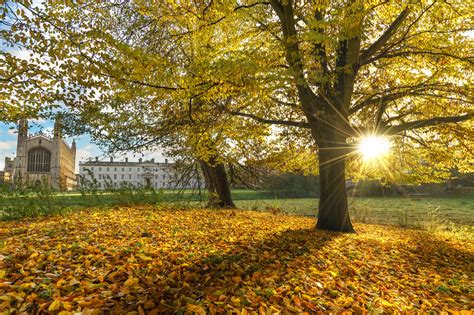 8 best places to enjoy autumn in the UK | WTM Global Hub