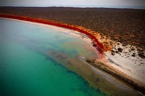 7 beaches in Australia perfect for summer 2024 | Times of India Travel