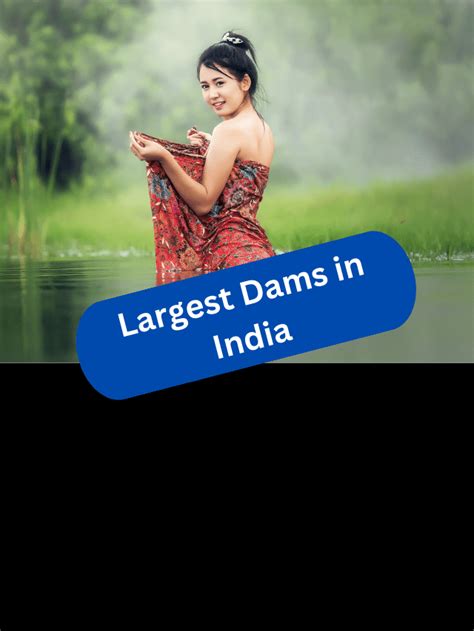 Top 10 Largest Dams in India | Top 10 Major Dams in India - W3Badi