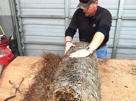 The Bear Trace at Harrison Bay Golf Course Maintenance: Mallard Duck Nesting Tubes Revised