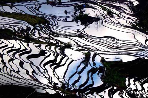 Yuanyang Rice Terraces, Yuanyang County, Honghe, Yunnan, China