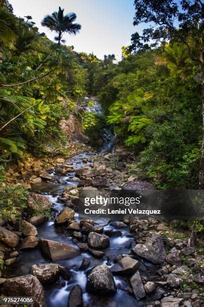 69 El Yunque Waterfalls Stock Photos, High-Res Pictures, and Images - Getty Images