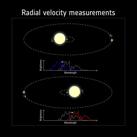 Radial velocity – exoplanet diversity — SPP 1992