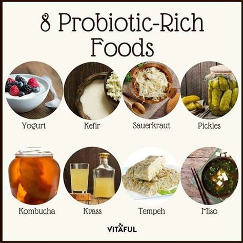 Probiotic-Rich Foods Benefits Of Taking Probiotics, Matcha Benefits, Coconut Health Benefits ...