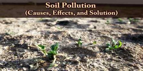 Causes Of Soil Pollution