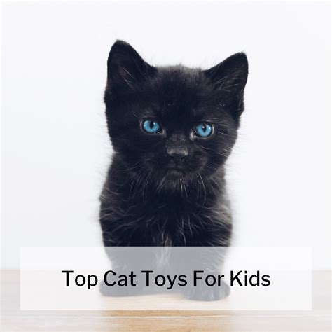 8 Top Cat Toys For Kids That Make Sense 2024