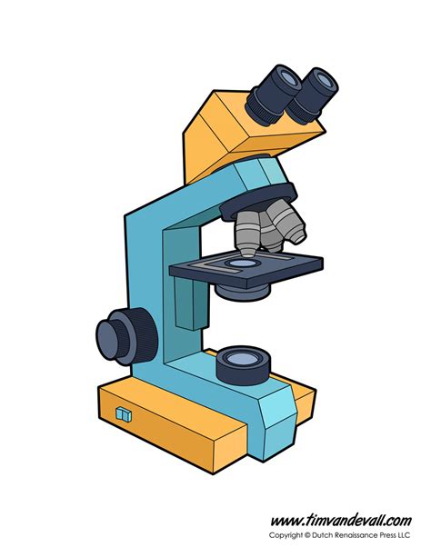 Compound Light Microscope Parts Labeled | Shelly Lighting