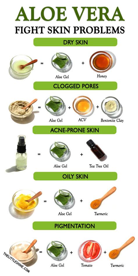 ALOE VERA TO TREAT VARIOUS SKIN PROBLEMS - The Little Shine