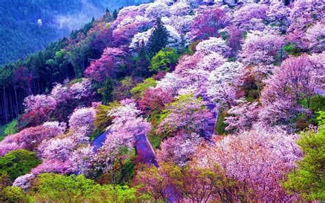 Japan Mountains Wallpapers - Top Free Japan Mountains Backgrounds ...