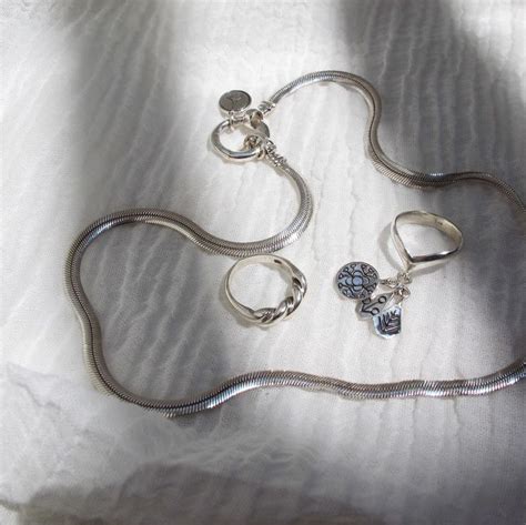 Shiny silver things | Shiny silver, Silver, Jewelry