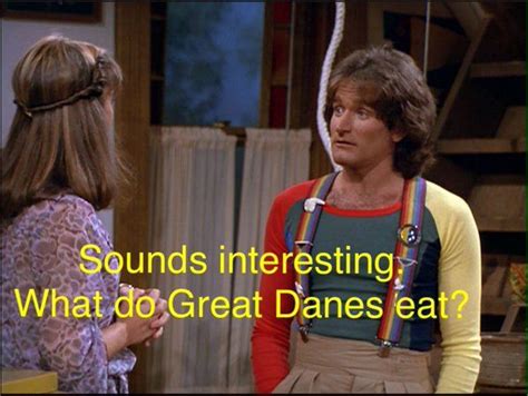 Mork & Mindy Quotes (@MorkQuotes) | Twitter Falling In Love With Him, I ...